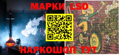 индика Кандалакша