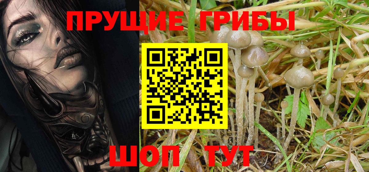 Галлюциногенные грибы MAGIC MUSHROOMS Курчатов